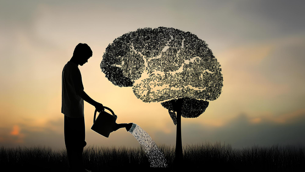 Cultivate a growth mindset